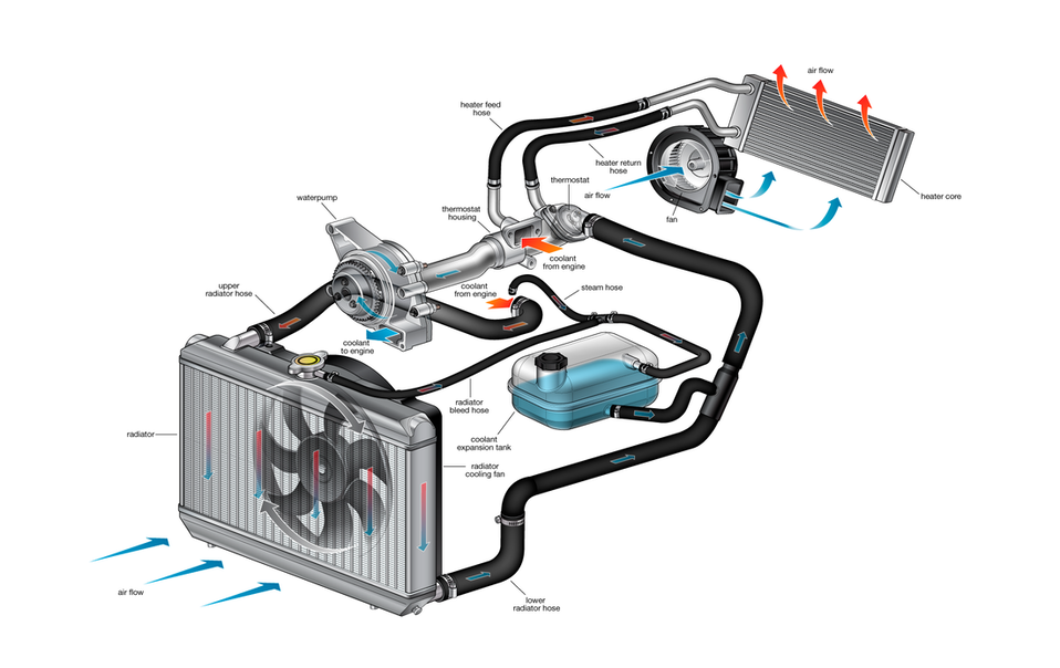 Car Cooling System Repairs and Service in Napier
